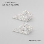 bk-100-bk-99-BK-100_5968