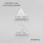 bp-8-bp-12-BP-8_6892