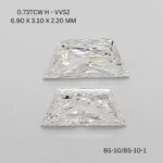 bs-10-bs-10-1-BS-10_9460