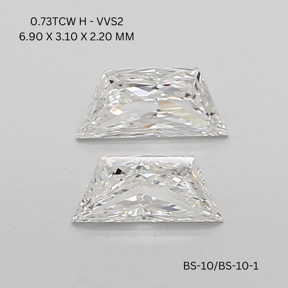 bs-10-bs-10-1-BS-10_9460