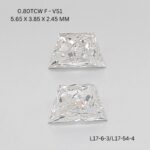 l17-54-4-l17-6-3-L17-54-4_9525