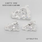 l17-73-l17-73-1-L17-73_8315