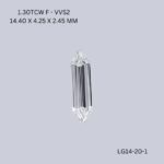 lg14-20-1-LG14-20-1_7869