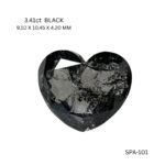 spa-101-SPA-101_8571