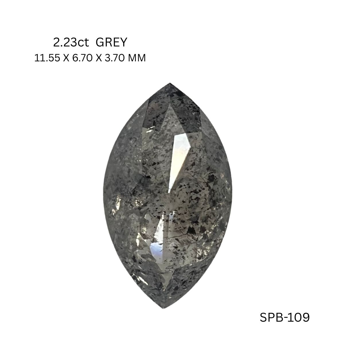 spb-109-SPB-109_8537