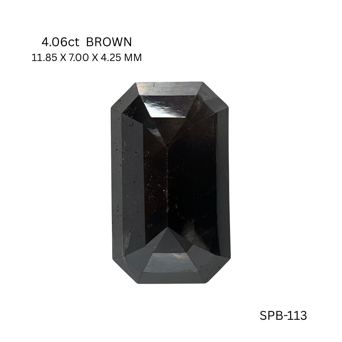 spb-113-SPB-113_8689