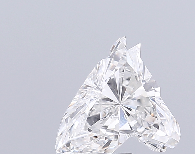 2.59 CT E VVS2 HORSE diamond Fancy Shape